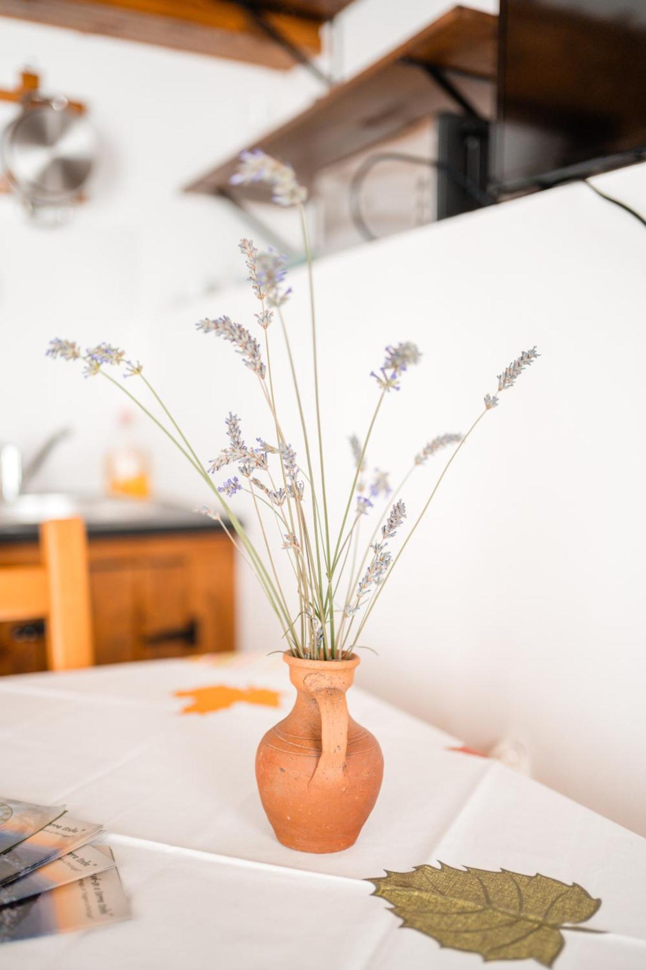 Casas De Marvao - Casa Do Ribeiro Villa ภายนอก รูปภาพ