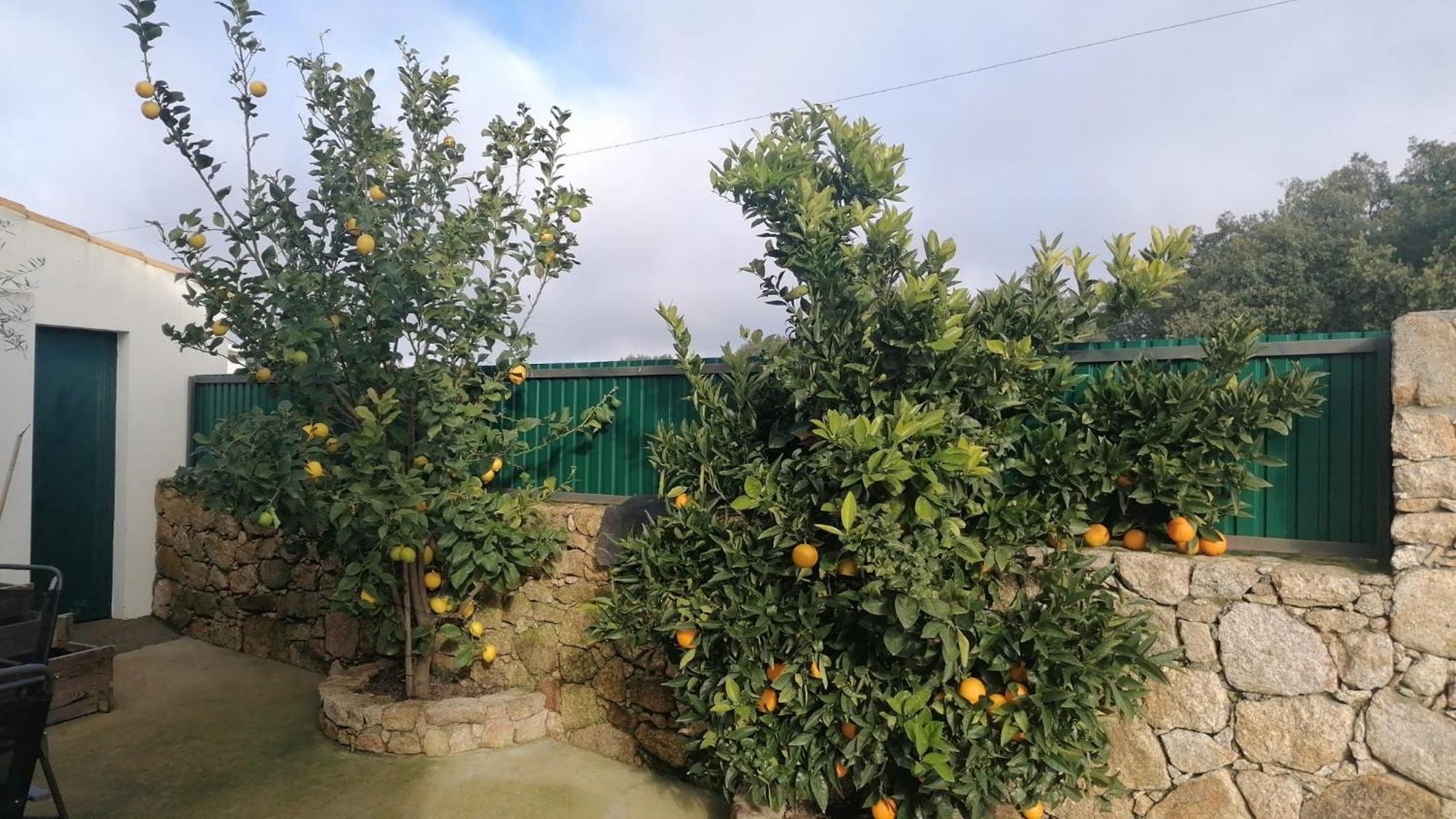 Casas De Marvao - Casa Do Ribeiro Villa ภายนอก รูปภาพ