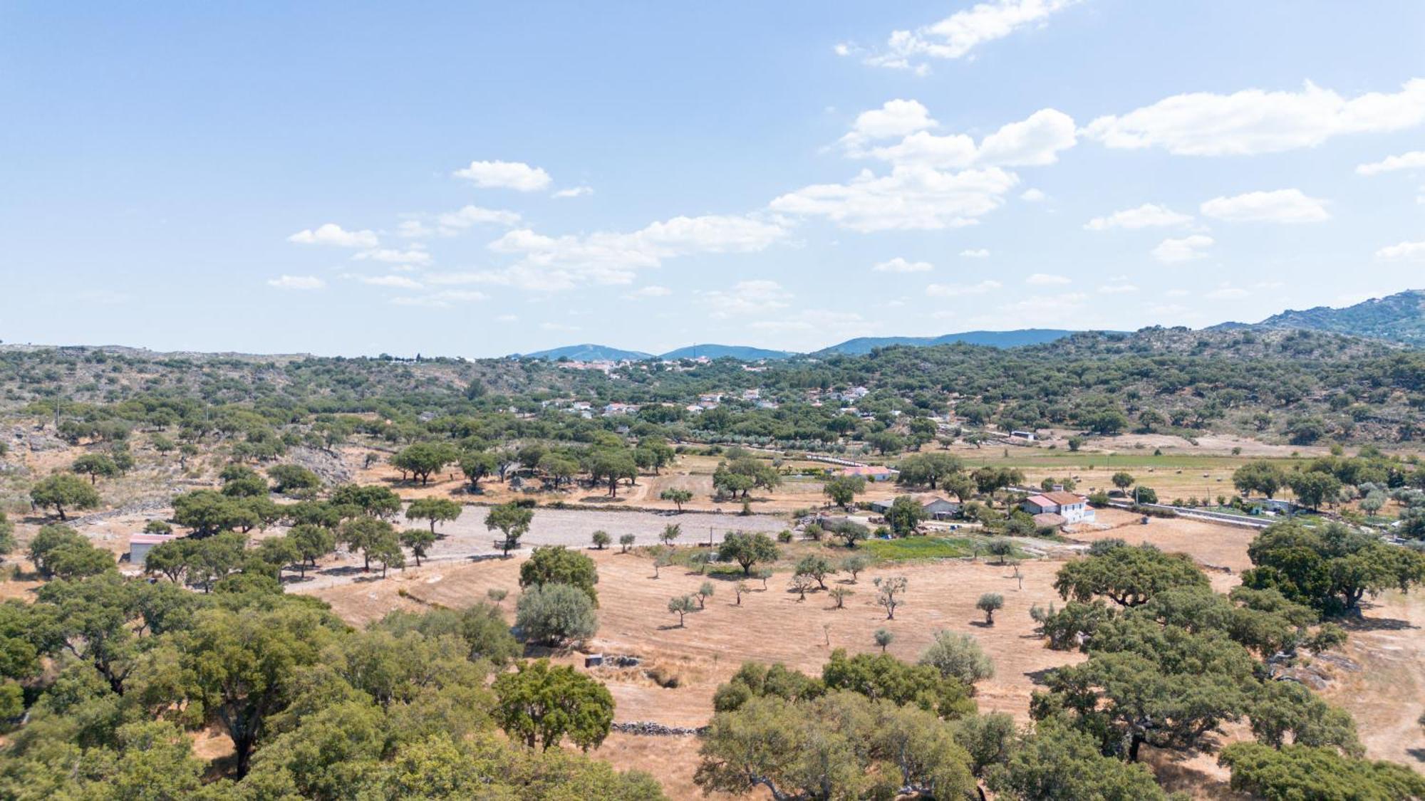Casas De Marvao - Casa Do Ribeiro Villa ภายนอก รูปภาพ